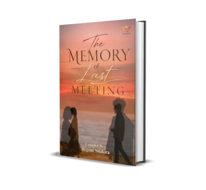 The Memory of Last Meeting