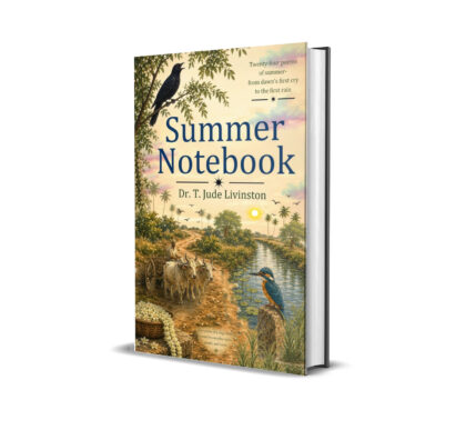 Summer Notebook